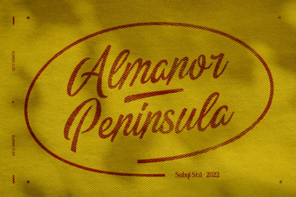 Almanor Peninsula: A Unique Display Font for Branding