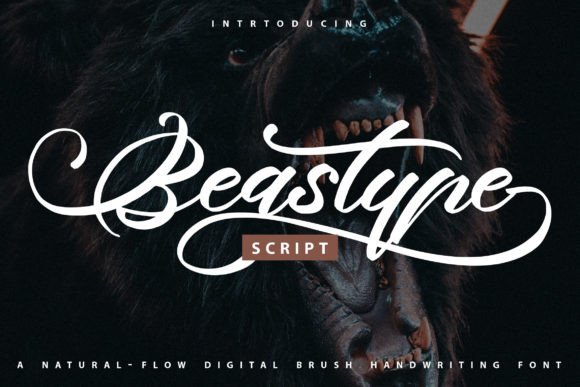 Beastype Font Review: Elevating Campaign Visuals with Modern Script