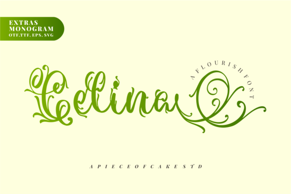Celina Duo: A Magical Typeface for Editorial Design