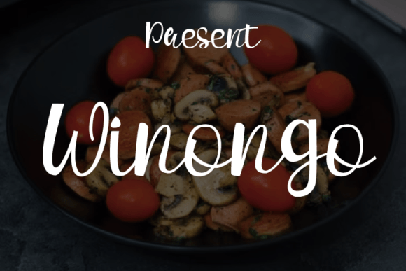 Elevate Your Brand with the Winongo Handwritten Font