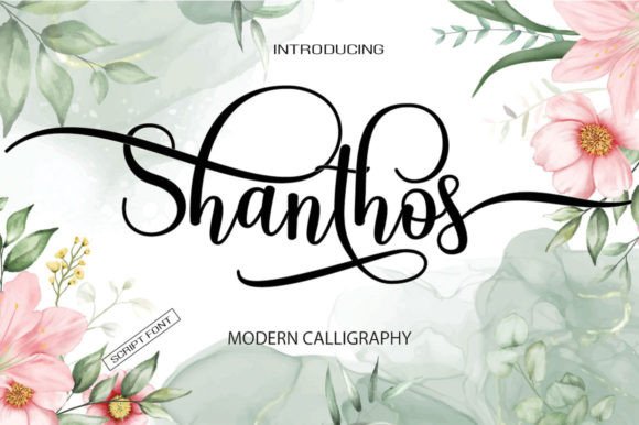 Shanthos Review: A Designer's Take on This Script Font